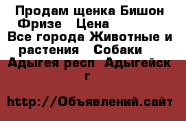 Продам щенка Бишон Фризе › Цена ­ 30 000 - Все города Животные и растения » Собаки   . Адыгея респ.,Адыгейск г.